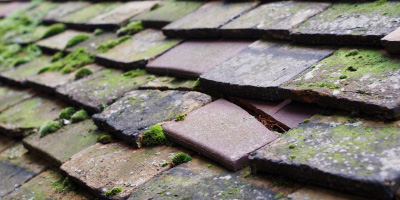 Dorrington roof repair costs